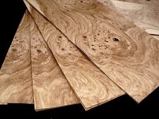 8x EICHE MASER FURNIER Holz EDELHOLZ DEKOR DESIGN STARKFURNIER TISCH SCHRANK 