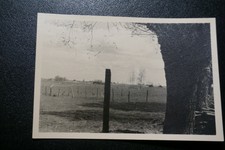 Foto Blick v. Memelland n. Russland 1941  7 x 10 cm Litauen