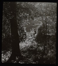 PERSON AUF EINEM ZAUN - BAUMSTUDIE C1930 FOTO magische Laterne Rutsche HOLZ WALD