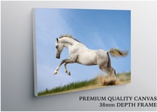 Pferd mit weißen Hengst Groß Leinwand Kunst Druck Geschenk a0 a1 a2 a3 a4