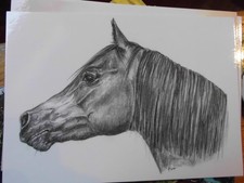 Pferdepostkarte Pferd Postkarte AK Kunst Kitsch Araber