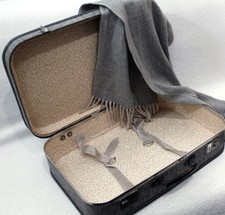 Historischer Koffer Adastra ca. 20er/30er Top Zustand - Vintage suitcase luggage