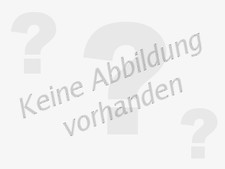 LRT Krümmer, Abgasanlage K924 für MERCEDES-BENZ