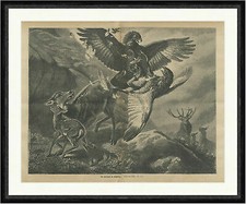 Ein Zweikampf im Hochgebirge Adler Rehe Hirsche Greifvogel  Faksimile_C 2941