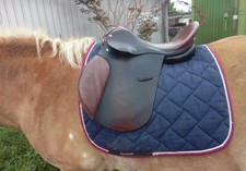 Vielseitigkeitssattel /Springen 17 Zoll,Schwarz /Braun