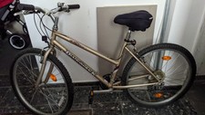 2 Fahrräder - 26' Diamondback (1 Fahrrad) und 26' Fischer (1 Fahrrad)