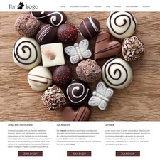 NEU professionelle Website erstellen lassen inkl. Homepage-Webdesign-Software