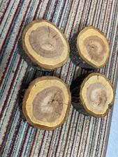 kirschbaum holz 3 jahre trocken schnitzen drechseln kirsch holz scheiben baumsch