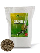 Sunny I Dürreresistenter Trockenrasen Grassamen Rasensamen Rasensaat Rasen Gras 