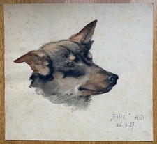 Hundin "FIFI" Sign.: A.D. 26.7.27.   27x29 cm.