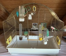 Vogelkäfig Vogelheim für Sittiche chrom weiß 60 cm mit sehr viel Zubehör