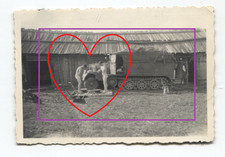 17/08 wk2 FOTO    NACKTE Soldaten NUDE Waschtag am Pz Spähw Halbkette