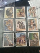 Zoo Babys (1938) John Player-kaufen 2 & Save