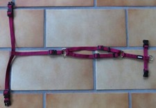 Hundegeschirr Größe XS AniOne H-Geschirr Classic bordeaux verstellbar wie NEU