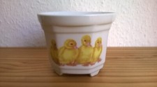 Blumen-Übertopf mit 4 Küken
