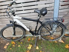 Herren Fahrrad 28" Kalkhoff Agattu XXL 8G Weiß Federgabel u. Sitz Shimano 8-Gang