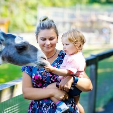 2 Tage Kurzurlaub Darmstadt Zoo | 3*Hotel + Frühstück Familie | Gutschein Hessen