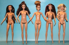 5 SAMMLER BARBIES Fashion Fever 100 Posen nude !!!!