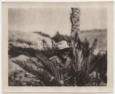 S618 Foto wehrmacht DAK Afrika Portrait Orden cuff Abzeichen Uniform Feuerwerker