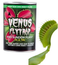 Grow YOUR OWN Venus Fly Trap Insektenvernichter in einer Dose Neuheit Geschenk
