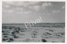 Foto WK II Wehrmacht Steppe deutsche Panzer Libyen Bayerlein Afrikacorps K1.65