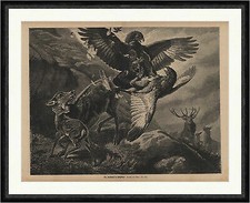 Ein Zweikampf im Hochgebirge Adler Hirsch Reh Rehkitz Raubvogel Faksimile_C 0391