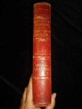 Kanaren Hybrids & Britisch Vögel IN Käfig & Voliere Robson & Lewer Illustrierte