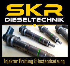 Delphi Injektor 28388960 Einspritzdüse 9674984080 Citroen Peugeot 2.0 HDI