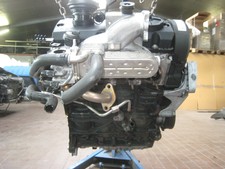 Motor BKC VW Golf Plus 1.9 TDI 1K/1KP/5M/1KM 12 Monate Garantie Sofortversand