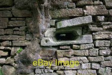 Foto 6x4 Glockbaumschale - Baumwurzel & Schussloch Lochwinnoch c2008