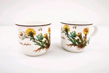 Villeroy & Boch Botanica 2 Kaffeetassen Set Porzellan Floral brauner Stempel 