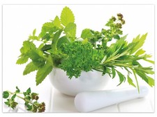 Wallario Teppich Fußmatte ab 50x70cm -Motiv Welt Kräuter - verschiedene Kräuter