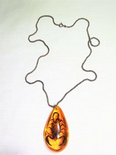 Bernstein Anhänger mit Kette 925 er Silber mit Skorpion  Imitat 