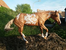 Breyer Pferd Paint Me A Pepto Repaint Zum Champagne Schecke