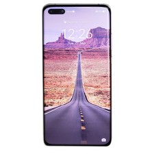 Huawei P40 Pro 5G - 256GB - Silver Frost (Ohne Simlock) (Dual SIM)