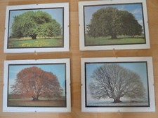 Bilder -vier Jahreszeiten- imClip Bilderrahmen