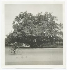 Lübeck 1930 Fahrradfahrer Straße Herren auf Bank unter Baum - Altes Foto 1930er
