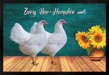 Fußmatte Fußmatte Hühner Zwerg New-Hampshire weiß F1311