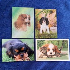 4 süße Tier Postkarten Katzen Baby & Welpe Cavalier King Charles Spaniel Karten