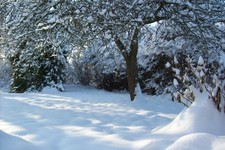 Exzellenten Online-Unterricht erteilt erfahrene Dozentin für DaZ / DaF (Deutsch)