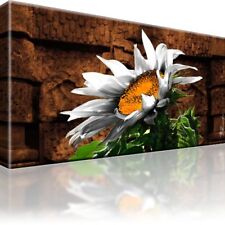 Sonnenblume Blume Bild Bilder Leinwand Keilrahmen Wandbild Kunstdruck