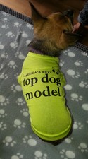 Hundeshirt  Sweatshirt "America's Next top dog model"  in verschiedene Größen 