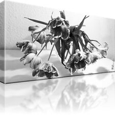 Tulpen Blumen Schwarz Weiß Bild Bilder Leinwand Wandbild Kunstdruck