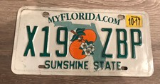 US Nummernschild Kennzeichen USA Florida ??
