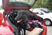 Hundeschutzbox - Spezialanfertigung GUILIETTA BJ 12/2011