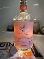 Leere Gin Flasche LED Lichter-Mad Owl Gin-Plus Craft Gin Club Magazin