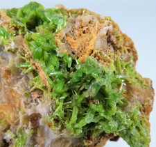 Pyromorphit, Steinbach Vogesen Elsass Frankreich A-292