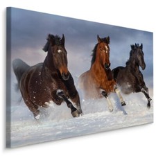 CANVAS Leinwand Bilder XXL Wandbilder Kunstdruck Tiere Pferde Wild Schnee 493
