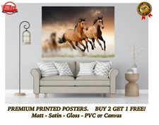 Pferde galoppieren Natur Kunst großes Poster Druck Geschenk a0 a1 a2 a3 a4 Maxi