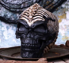 Pagan/Wicca Spin Head 18.5cm Skull James Ryman